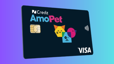 CARTÃO DE CRÉDITO AMO PET VISA INTERNACIONAL A ESCOLHA IDEAL PARA AMANTES DE PETS