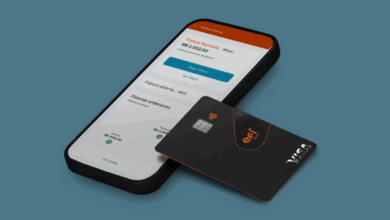 Cartão Efi Bank Visa é bom Conheça essa novidade com alta taxa de aprovação